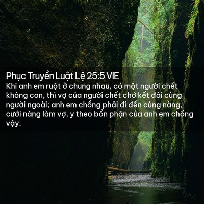 Picture 02 - Phục Truyền Luật Lệ 25:5 VIE - Khi anh em ruột ở chung nhau, có một - Bible Verse Picture