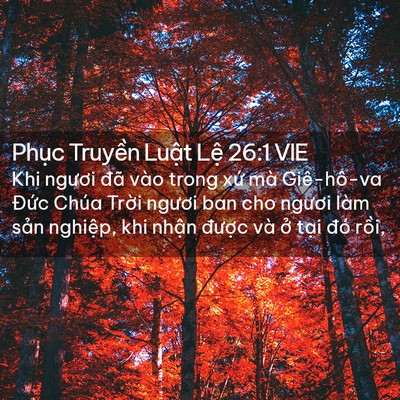 Picture 02 - Phục Truyền Luật Lệ 26:1 VIE - Khi ngươi đã vào trong xứ mà Giê-hô-va - Bible Verse Picture