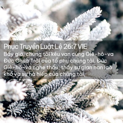 Picture 02 - Phục Truyền Luật Lệ 26:7 VIE - Bấy giờ, chúng tôi kêu van cùng - Bible Verse Picture
