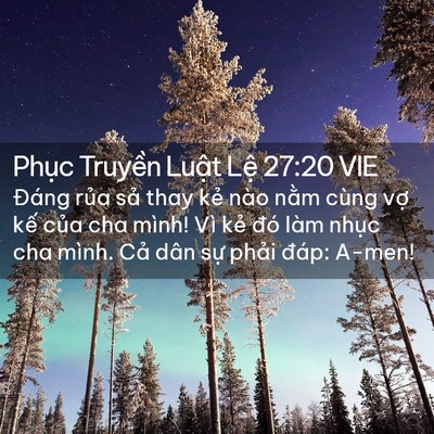 Picture 02 - Phục Truyền Luật Lệ 27:20 VIE - Đáng rủa sả thay kẻ nào nằm cùng vợ - Bible Verse Picture
