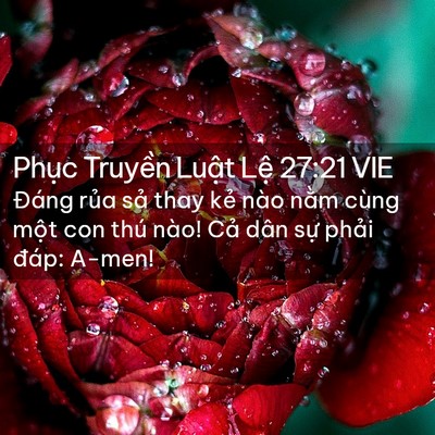 Picture 02 - Phục Truyền Luật Lệ 27:21 VIE - Đáng rủa sả thay kẻ nào nằm cùng - Bible Verse Picture