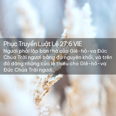 Picture 02 - Phục Truyền Luật Lệ 27:6 VIE - Ngươi phải lập bàn thờ của Giê-hô-va - Bible Verse Picture