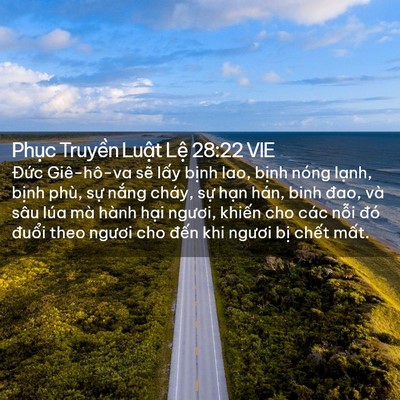 Picture 02 - Phục Truyền Luật Lệ 28:22 VIE - Đức Giê-hô-va sẽ lấy bịnh lao, bịnh - Bible Verse Picture