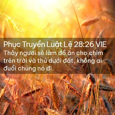 Picture 02 - Phục Truyền Luật Lệ 28:26 VIE - Thây ngươi sẽ làm đồ ăn cho chim trên - Bible Verse Picture
