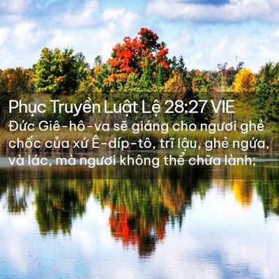 Picture 02 - Phục Truyền Luật Lệ 28:27 VIE - Đức Giê-hô-va sẽ giáng cho ngươi ghẻ - Bible Verse Picture