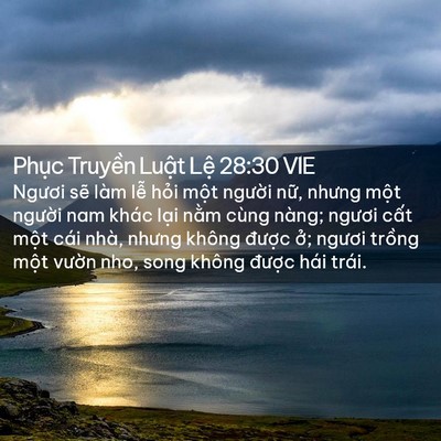 Picture 02 - Phục Truyền Luật Lệ 28:30 VIE - Ngươi sẽ làm lễ hỏi một người nữ, - Bible Verse Picture