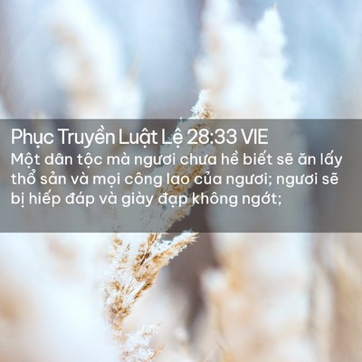 Picture 02 - Phục Truyền Luật Lệ 28:33 VIE - Một dân tộc mà ngươi chưa hề biết - Bible Verse Picture