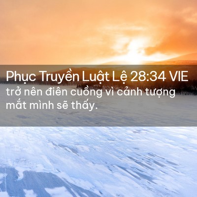 Picture 02 - Phục Truyền Luật Lệ 28:34 VIE - trở nên điên cuồng vì cảnh tượng - Bible Verse Picture