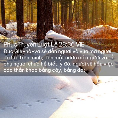 Picture 02 - Phục Truyền Luật Lệ 28:36 VIE - Đức Giê-hô-va sẽ dẫn ngươi và vua mà - Bible Verse Picture