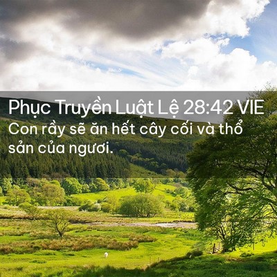Picture 02 - Phục Truyền Luật Lệ 28:42 VIE - Con rầy sẽ ăn hết cây cối và thổ - Bible Verse Picture