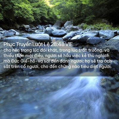 Picture 02 - Phục Truyền Luật Lệ 28:48 VIE - cho nên trong lúc đói khát, trong lúc - Bible Verse Picture