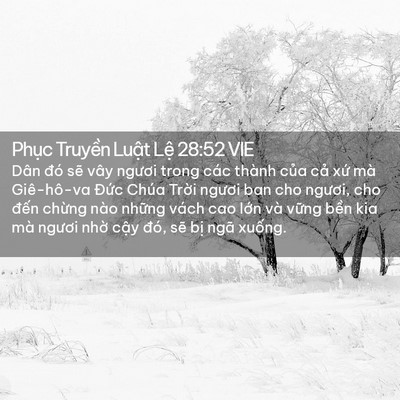 Picture 02 - Phục Truyền Luật Lệ 28:52 VIE - Dân đó sẽ vây ngươi trong các thành - Bible Verse Picture
