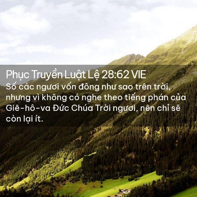 Picture 02 - Phục Truyền Luật Lệ 28:62 VIE - Số các ngươi vốn đông như sao trên - Bible Verse Picture