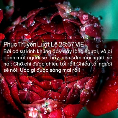 Picture 02 - Phục Truyền Luật Lệ 28:67 VIE - Bởi cớ sự kinh khủng đầy dẫy lòng - Bible Verse Picture
