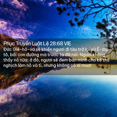 Picture 02 - Phục Truyền Luật Lệ 28:68 VIE - Đức Giê-hô-va sẽ khiến ngươi đi tàu - Bible Verse Picture