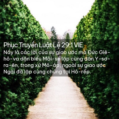 Picture 02 - Phục Truyền Luật Lệ 29:1 VIE - Nầy là các lời của sự giao ước mà - Bible Verse Picture