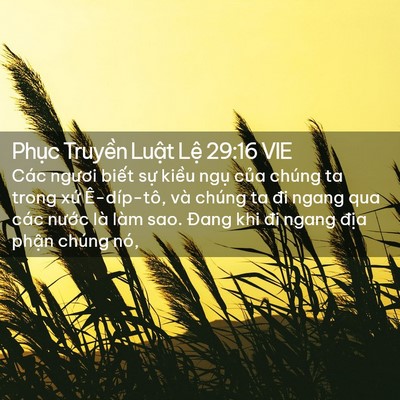 Picture 02 - Phục Truyền Luật Lệ 29:16 VIE - Các ngươi biết sự kiều ngụ của - Bible Verse Picture