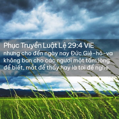 Picture 02 - Phục Truyền Luật Lệ 29:4 VIE - nhưng cho đến ngày nay Đức Giê-hô-va - Bible Verse Picture