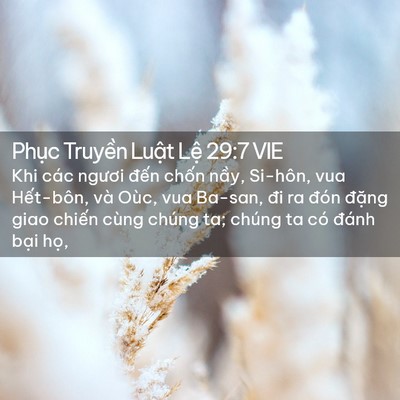 Picture 02 - Phục Truyền Luật Lệ 29:7 VIE - Khi các ngươi đến chốn nầy, Si-hôn, - Bible Verse Picture