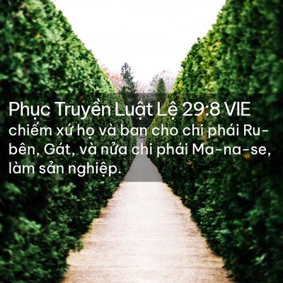Picture 02 - Phục Truyền Luật Lệ 29:8 VIE - chiếm xứ họ và ban cho chi phái Ru-bên, - Bible Verse Picture
