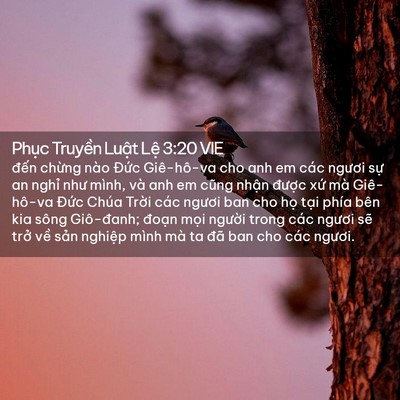 Picture 02 - Phục Truyền Luật Lệ 3:20 VIE - đến chừng nào Đức Giê-hô-va cho anh em - Bible Verse Picture
