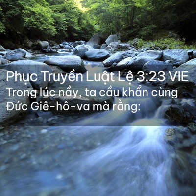 Picture 02 - Phục Truyền Luật Lệ 3:23 VIE - Trong lúc nầy, ta cầu khẩn cùng Đức - Bible Verse Picture
