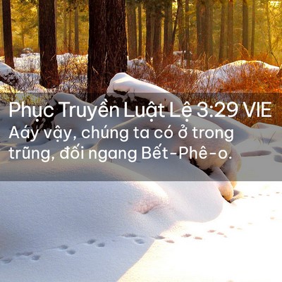 Picture 02 - Phục Truyền Luật Lệ 3:29 VIE - Aáy vậy, chúng ta có ở trong trũng, - Bible Verse Picture