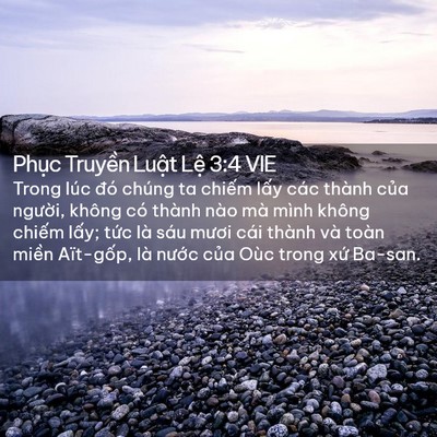 Picture 02 - Phục Truyền Luật Lệ 3:4 VIE - Trong lúc đó chúng ta chiếm lấy các - Bible Verse Picture