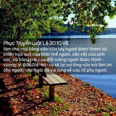 Picture 02 - Phục Truyền Luật Lệ 30:10 VIE - làm cho mọi công việc của tay ngươi - Bible Verse Picture