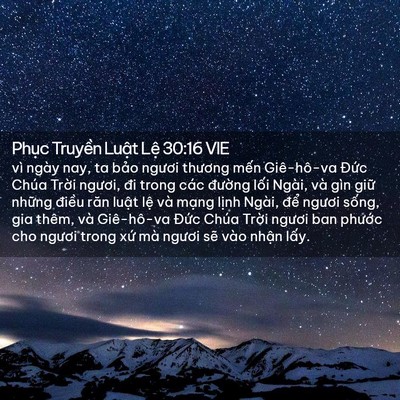 Picture 02 - Phục Truyền Luật Lệ 30:16 VIE - vì ngày nay, ta bảo ngươi thương mến - Bible Verse Picture