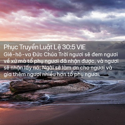 Picture 02 - Phục Truyền Luật Lệ 30:5 VIE - Giê-hô-va Đức Chúa Trời ngươi sẽ đem - Bible Verse Picture