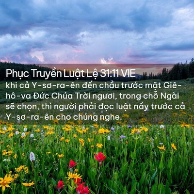 Picture 02 - Phục Truyền Luật Lệ 31:11 VIE - khi cả Y-sơ-ra-ên đến chầu trước - Bible Verse Picture