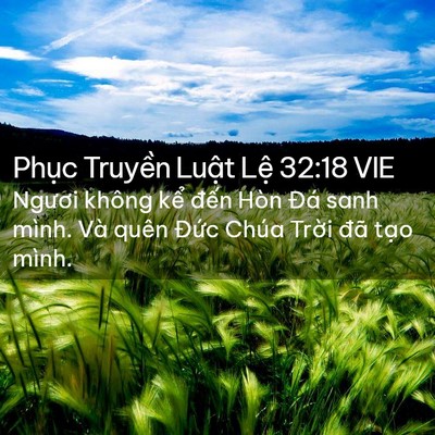 Picture 02 - Phục Truyền Luật Lệ 32:18 VIE - Ngươi không kể đến Hòn Đá sanh mình. - Bible Verse Picture