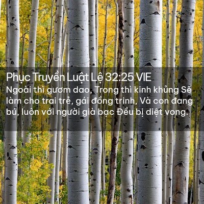 Picture 02 - Phục Truyền Luật Lệ 32:25 VIE - Ngoài thì gươm dao, Trong thì kinh khủng - Bible Verse Picture
