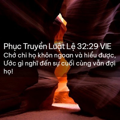 Picture 02 - Phục Truyền Luật Lệ 32:29 VIE - Chớ chi họ khôn ngoan và hiểu được, - Bible Verse Picture