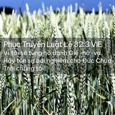 Picture 02 - Phục Truyền Luật Lệ 32:3 VIE - Vì tôi sẽ tung hô danh Giê-hô-va. Hãy - Bible Verse Picture