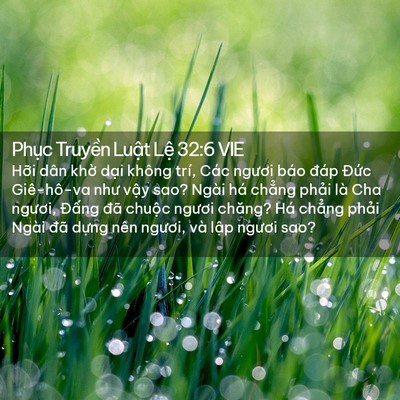 Picture 02 - Phục Truyền Luật Lệ 32:6 VIE - Hỡi dân khờ dại không trí, Các ngươi - Bible Verse Picture