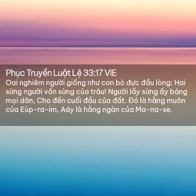 Picture 02 - Phục Truyền Luật Lệ 33:17 VIE - Oai nghiêm người giống như con bò đực - Bible Verse Picture