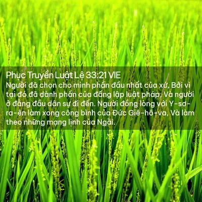 Picture 02 - Phục Truyền Luật Lệ 33:21 VIE - Người đã chọn cho mình phần đầu - Bible Verse Picture