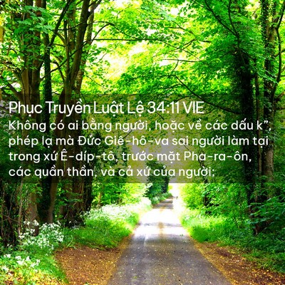 Picture 02 - Phục Truyền Luật Lệ 34:11 VIE - Không có ai bằng người, hoặc về các - Bible Verse Picture