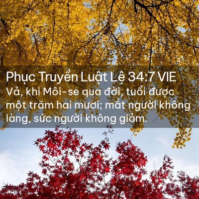Picture 02 - Phục Truyền Luật Lệ 34:7 VIE - Vả, khi Môi-se qua đời, tuổi được - Bible Verse Picture