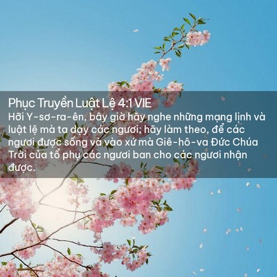 Picture 02 - Phục Truyền Luật Lệ 4:1 VIE - Hỡi Y-sơ-ra-ên, bây giờ hãy nghe những - Bible Verse Picture