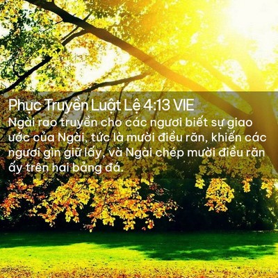 Picture 02 - Phục Truyền Luật Lệ 4:13 VIE - Ngài rao truyền cho các ngươi biết sự - Bible Verse Picture