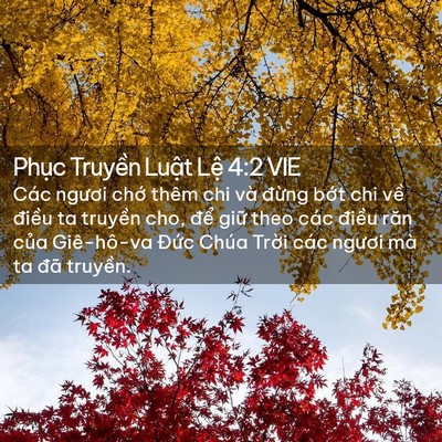 Picture 02 - Phục Truyền Luật Lệ 4:2 VIE - Các ngươi chớ thêm chi và đừng bớt - Bible Verse Picture