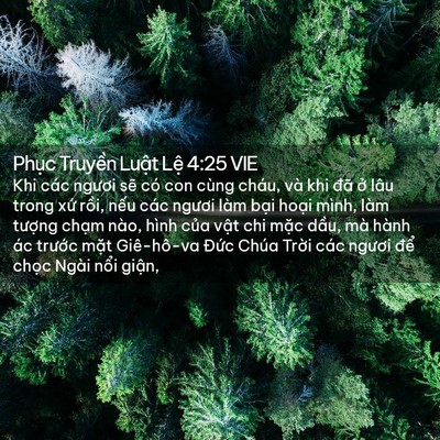 Picture 02 - Phục Truyền Luật Lệ 4:25 VIE - Khi các ngươi sẽ có con cùng cháu, và - Bible Verse Picture