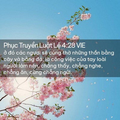 Picture 02 - Phục Truyền Luật Lệ 4:28 VIE - ở đó các ngươi sẽ cúng thờ những - Bible Verse Picture