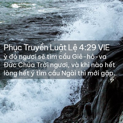 Picture 02 - Phục Truyền Luật Lệ 4:29 VIE - ỳ đó ngươi sẽ tìm cầu Giê-hô-va - Bible Verse Picture