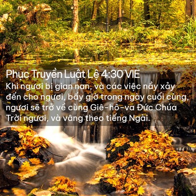 Picture 02 - Phục Truyền Luật Lệ 4:30 VIE - Khi ngươi bị gian nan, và các việc nầy - Bible Verse Picture