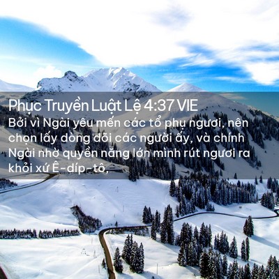 Picture 02 - Phục Truyền Luật Lệ 4:37 VIE - Bởi vì Ngài yêu mến các tổ phụ - Bible Verse Picture