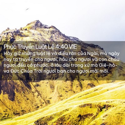 Picture 02 - Phục Truyền Luật Lệ 4:40 VIE - Hãy giữ những luật lệ và điều răn - Bible Verse Picture